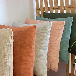 Coussin d'intérieur