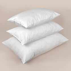 Acheter Linnea Coussin C Plumes à recouvrir Plumettes de canards Rectangulaire