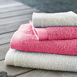 Tapis