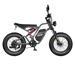 FAFREES F20 Ultra - Disc Brake