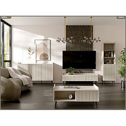 OTITEC Table basse - L.100 x H.45 x P.60 - ADELA