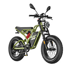 FAFREES F20 Ultra - Disc Brake