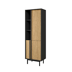 OTITEC Armoire haute - L.63 x H.195 x P.43 - ADSY