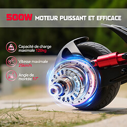 Y-RAIN - Trottinette Electrique Pliable 25km/h