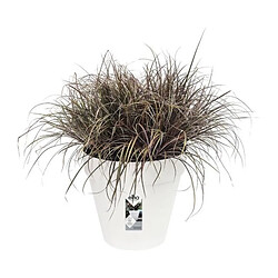 ELHO Lot de 2 pots de fleur rond Loft Urban - 19 L - Ø 28.5 x H 26 cm - Noir