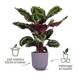 ELHO Lot de 3 pots de fleur rond Jazz - Ø14xH13,1, Ø16xH15,3, Ø19xH17,6 cm - 7 L - Lila et Blanc