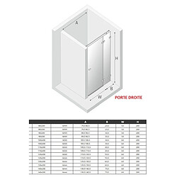 OTITEC Porte de douche 120 cm blanc pivotante droite SANTORINI WHITE pas cher