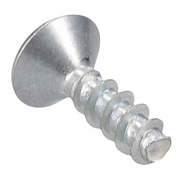 Saeco vis Torx pour petit électroménager