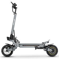 IENYRID IE-S1 Trottinette Électrique - 800W 48V15Ah - Gris