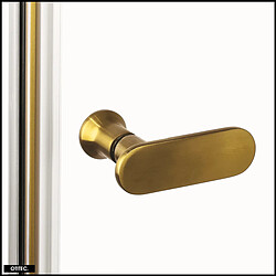 OTITEC Porte de Douche Battante Simple - 70 x 195 cm | GOLYA - Laiton Brossé