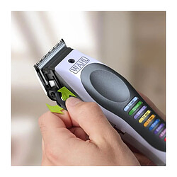Wahl ColorPro Cordless Lithium pas cher