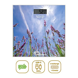 Little balance Lavandes - USB-C