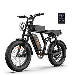 URLIFE T2 Vélo Électrique - 250W 48V15.6Ah - Noir