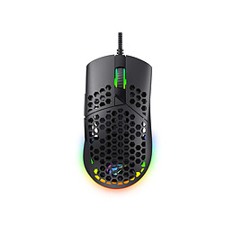 Souris