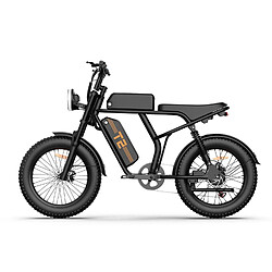 URLIFE T2 Vélo Électrique - 250W 48V15.6Ah - Noir