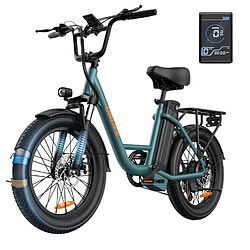Vélo Électrique URLIFE E20 - 250W 48V 13Ah - Vert