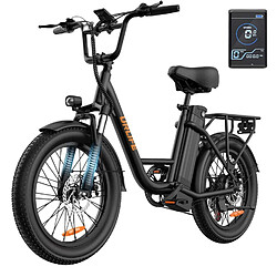 Vélo Électrique URLIFE E20 - 250W 48V 13Ah - Noir