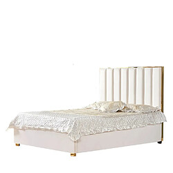 Homy France Lit 2 places 140x190 cm TONY velours sommier inclus