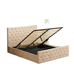 Homy France Lit coffre 2 places 160X200 cm VICTORIA Velours