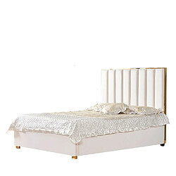 Homy France Lit 2 places 140x190 cm TONY velours sommier inclus