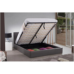 Homy France Lit coffre 2 places 160x200 cm BASTIEN simili cuir sommier inclus pas cher
