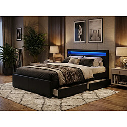 Acheter Homy France Lit adulte 160x200 cm noir avec tiroirs LED sommier inclus