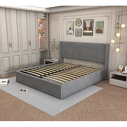 Homy France LIT COFFRE CAMILLE en velours GRIS 140X190CM
