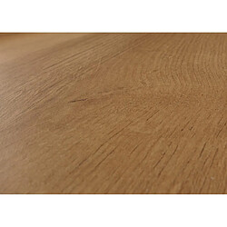 Decoshop26 Meuble TV bois de manguier - Blanc