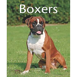 Boxers - Occasion