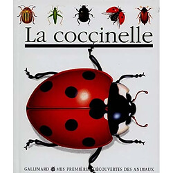 La coccinelle - Occasion