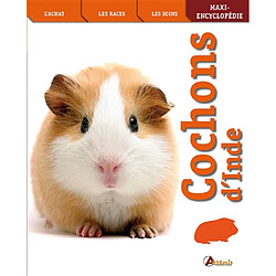 Cochons d'Inde - Occasion