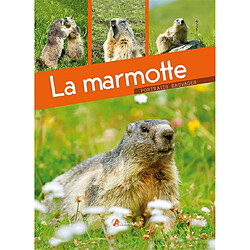 La marmotte