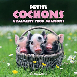 Petits cochons vraiment trop mignons
