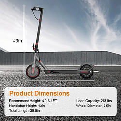 AOVOPRO LADPED Trottinette électrique LP60 Scooter - 350W - 5.2Ah - Noir pas cher