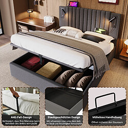 Avis OKWISH Lit coffre 160x200 cm Matelas inclus - Lit capitonné lampe - Gris