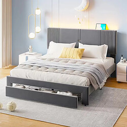 OKWISH Lit avec rangement 160x200 cm Lit double LED - Gris