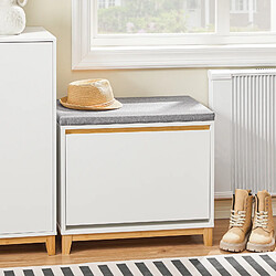 SoBuy FSR191-WN Armoire à Chaussures avec 1 Abattants et 1 Coussin
