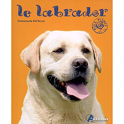 Le labrador - Occasion