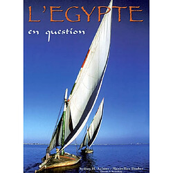L'Egypte en question