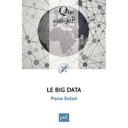 Le big data - Occasion