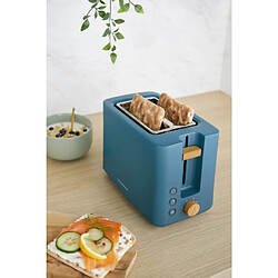 Acheter Schneider SCTON2BL - Bleu