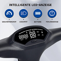 Y-RAIN - Trottinette électrique Pliable - Roues 10"