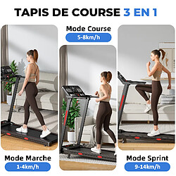 Acheter Y-RAIN - Tapis de Course Pliable- 3.0HP