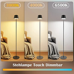 ZMH Lampadaire 120cm Noir Tactile à Intensité LED Verre Pour Chambre