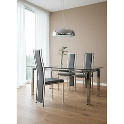 Homy France Lot de 6 chaises Dana simili cuir Gris contour chromé