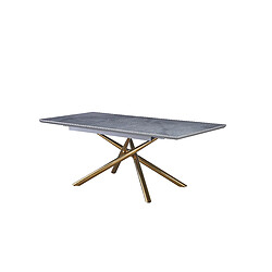 Homy France Table Extensible ZEPHIR – Pied Gold & Céramique Marbre Gris – 160/200 cm