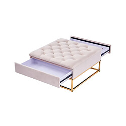 Homy France Table Basse rangements TIROIRS plateau velours capitonné