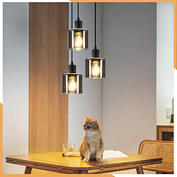 ZMH Suspension E27 3 Flammes Vintage Lampe Industrielle Réglable En Hauteur