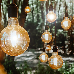 Zmh ampoules LED E27 vintage G95 - lot de 2