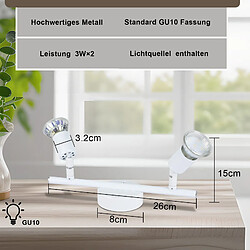 Acheter ZMH Spot De Plafond 2 Flammes Gu10 Moderne Plafonnier Couloir Ampoules Incluses